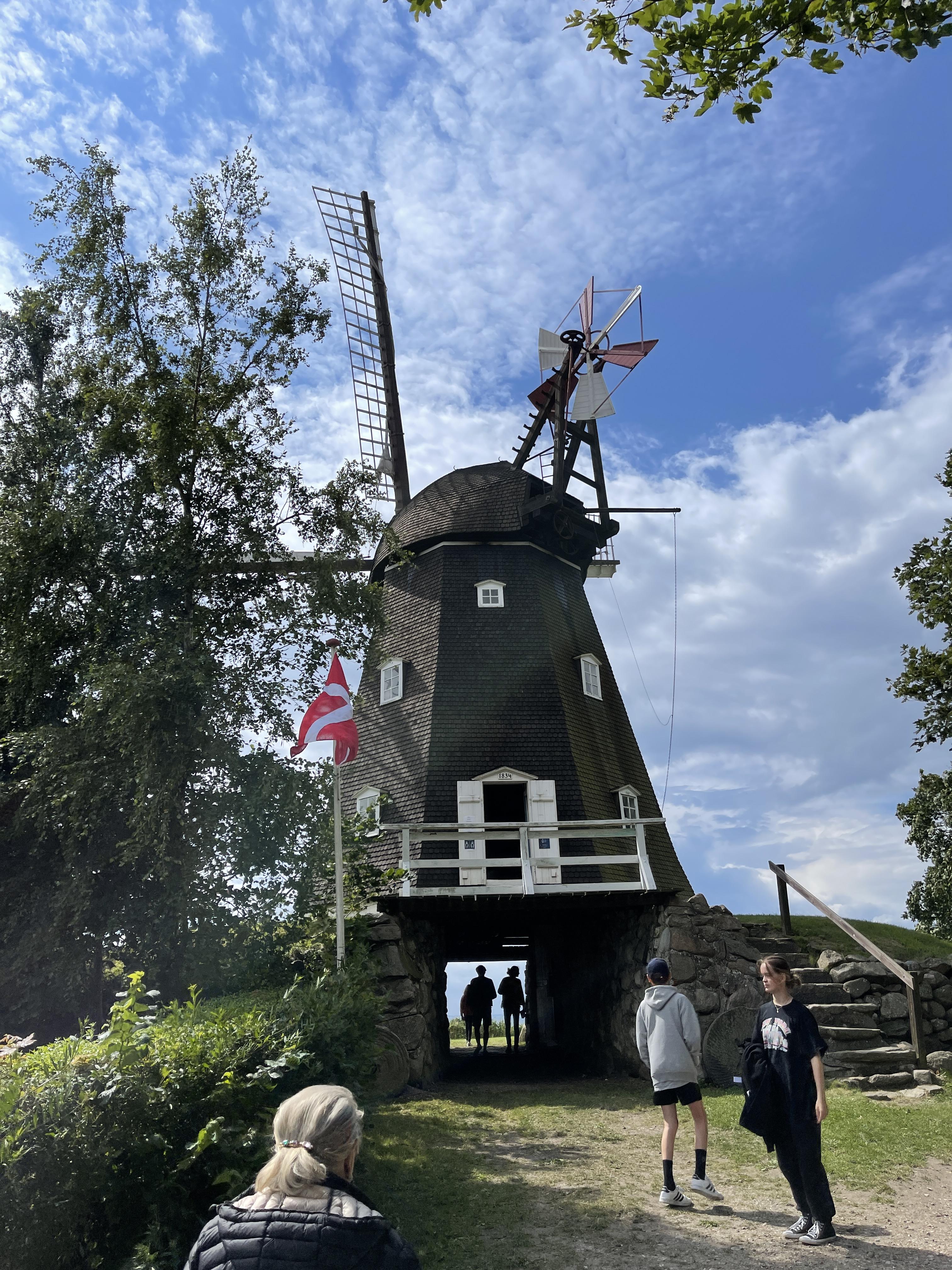 IMG 2948